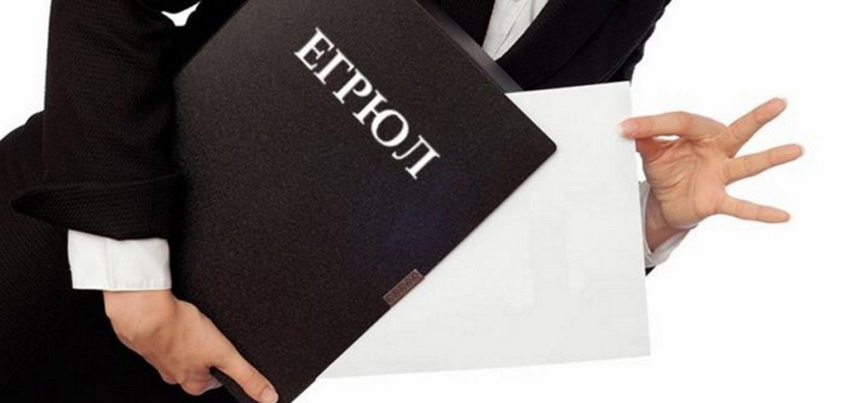 выписка из ЕГРИП для регистрации компании в Испании